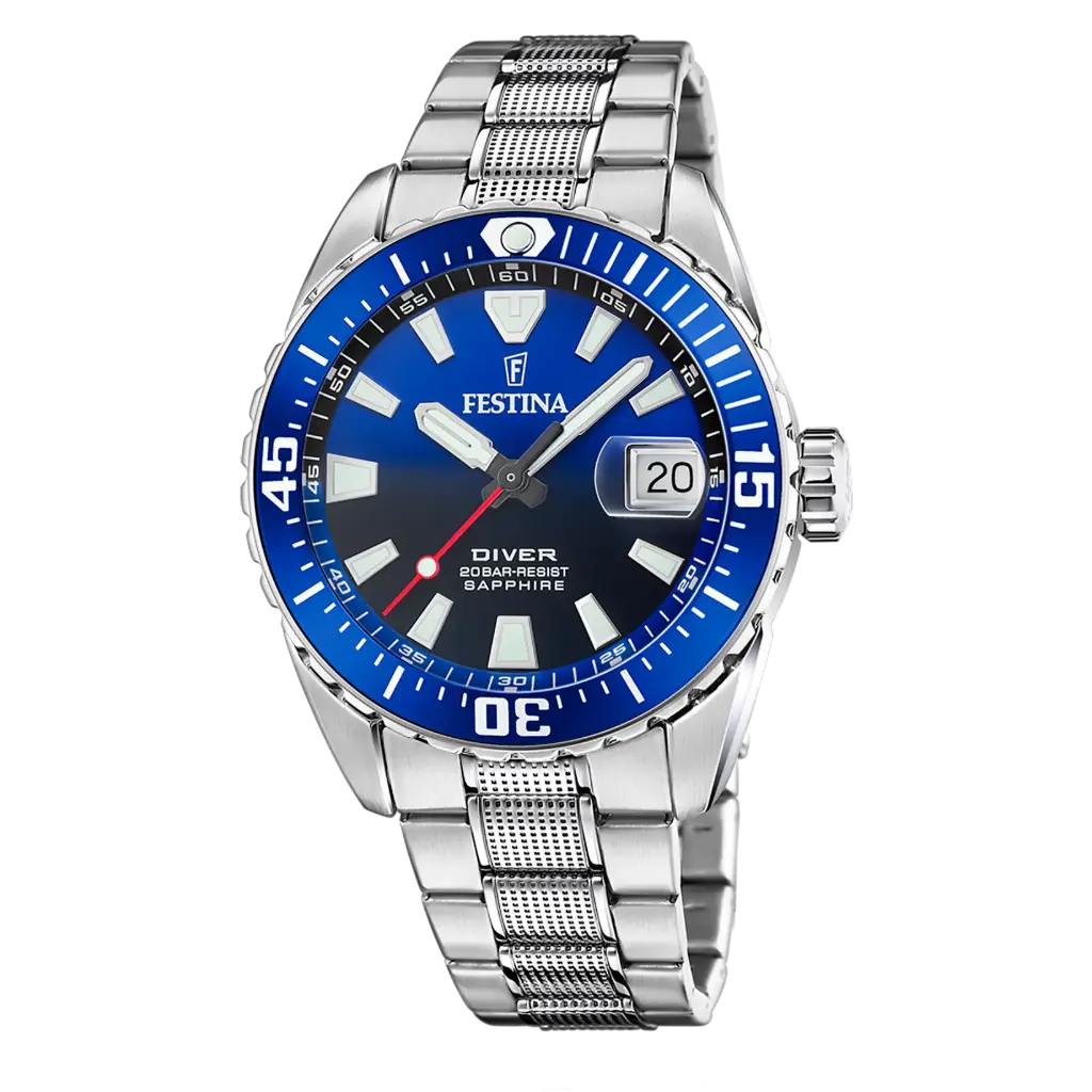 Festina F20669/1