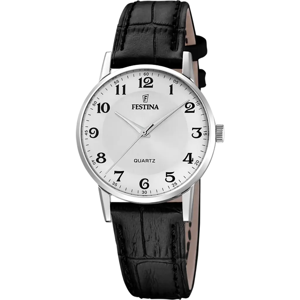 Festina  F20691/1